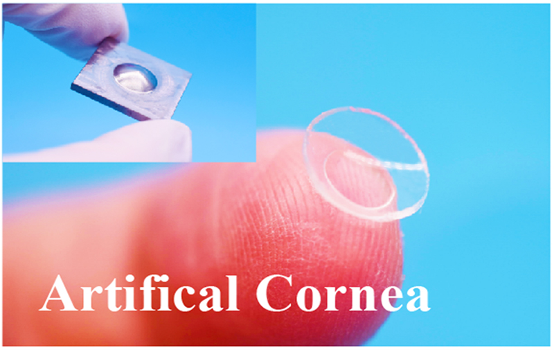 聚焦高端生物組織功能膜科研轉化，博創(chuàng  )生物喜獲天使+輪融資